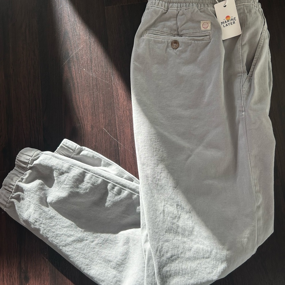 Marine Layer Men's Gray Pants